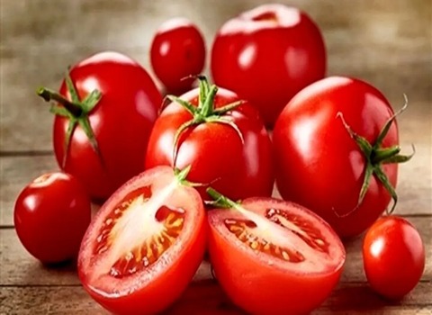 خرید گوجه فرنگی خوزستان + قیمت فروش استثنایی